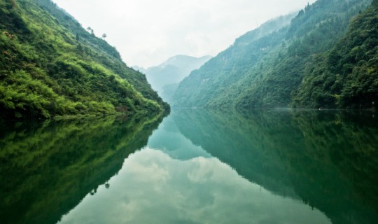 fabelhafte Natur 