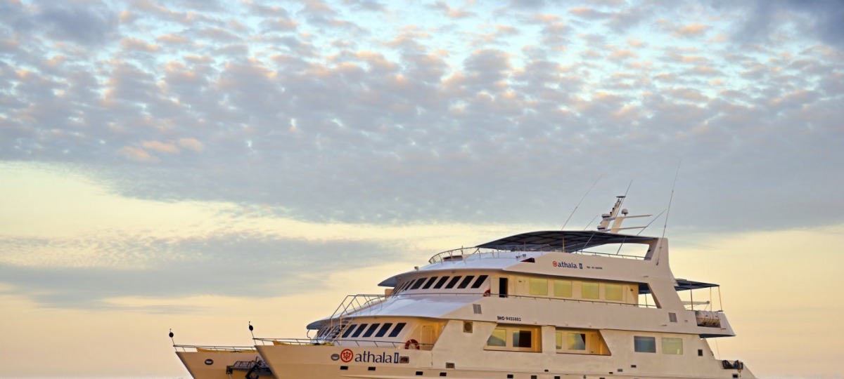 Herzlich Willkommen auf Ihrem Schiff 