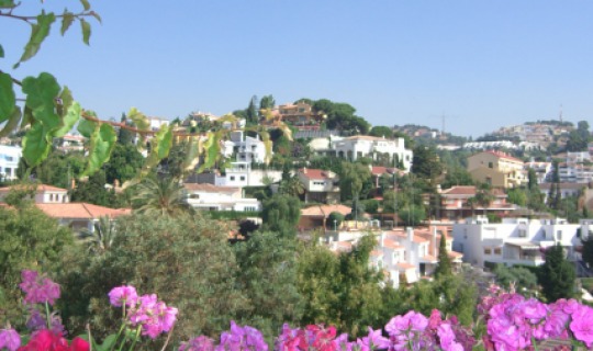 Blumenparadies 