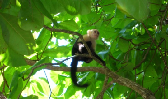 Flora und Fauna
