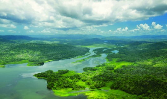Der Amazonas