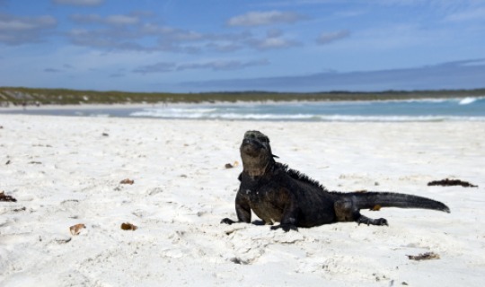kristallblaues Wasser und feinsandiger Strand