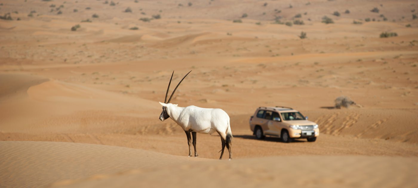 Begeben Sie sich auf Exkursion