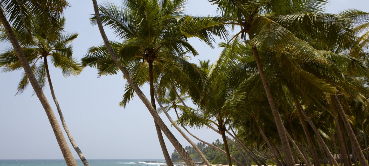 WIllkommen im Amanwella - direkt am Meer