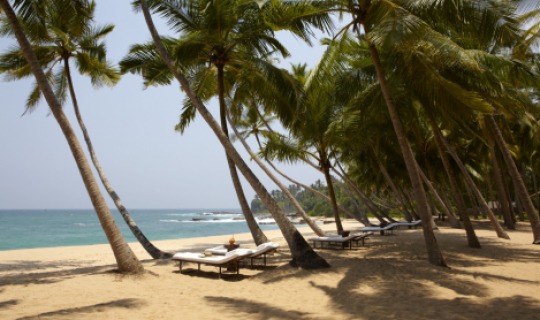 WIllkommen im Amanwella - direkt am Meer