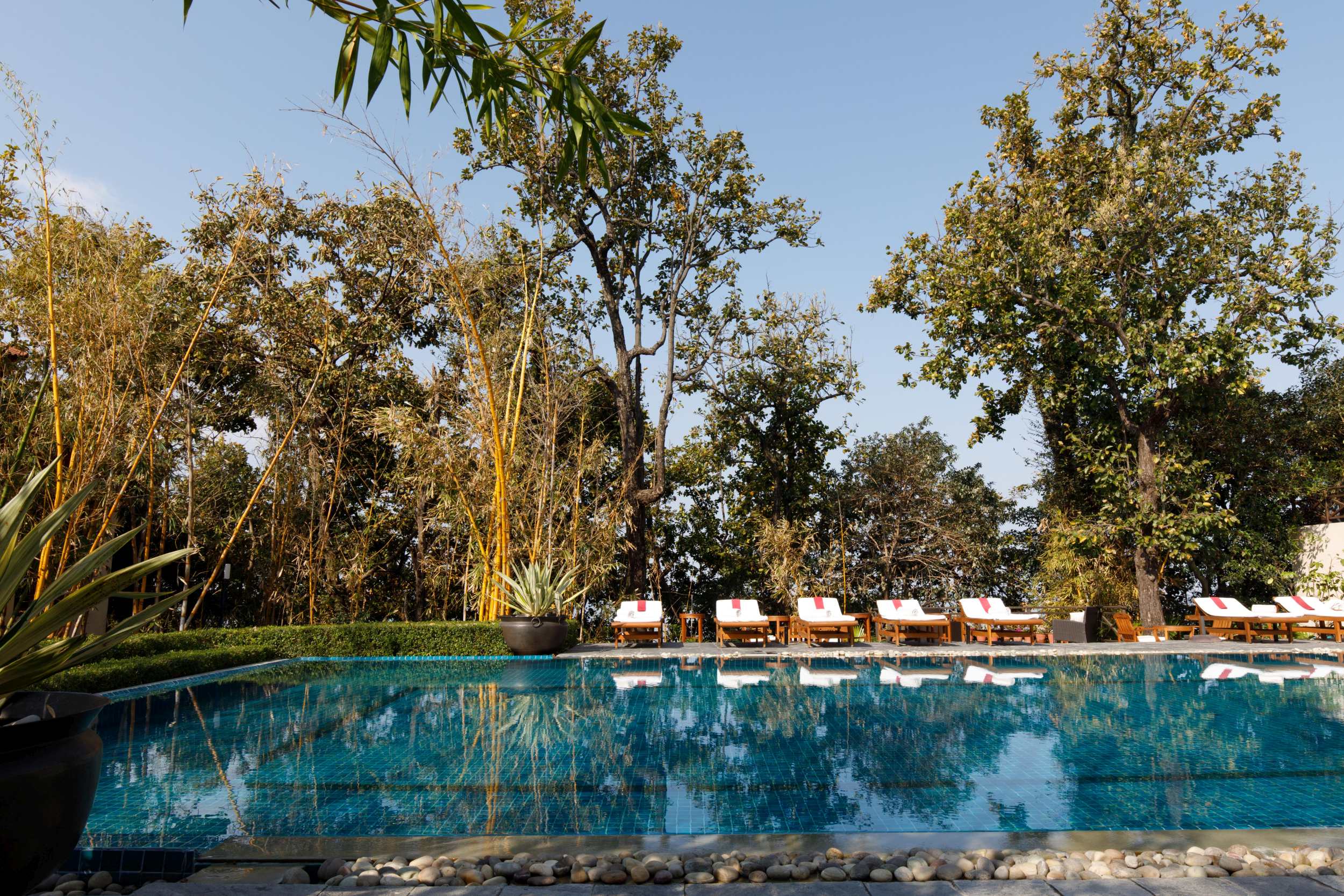 Erfrischen Sie sich im Pool