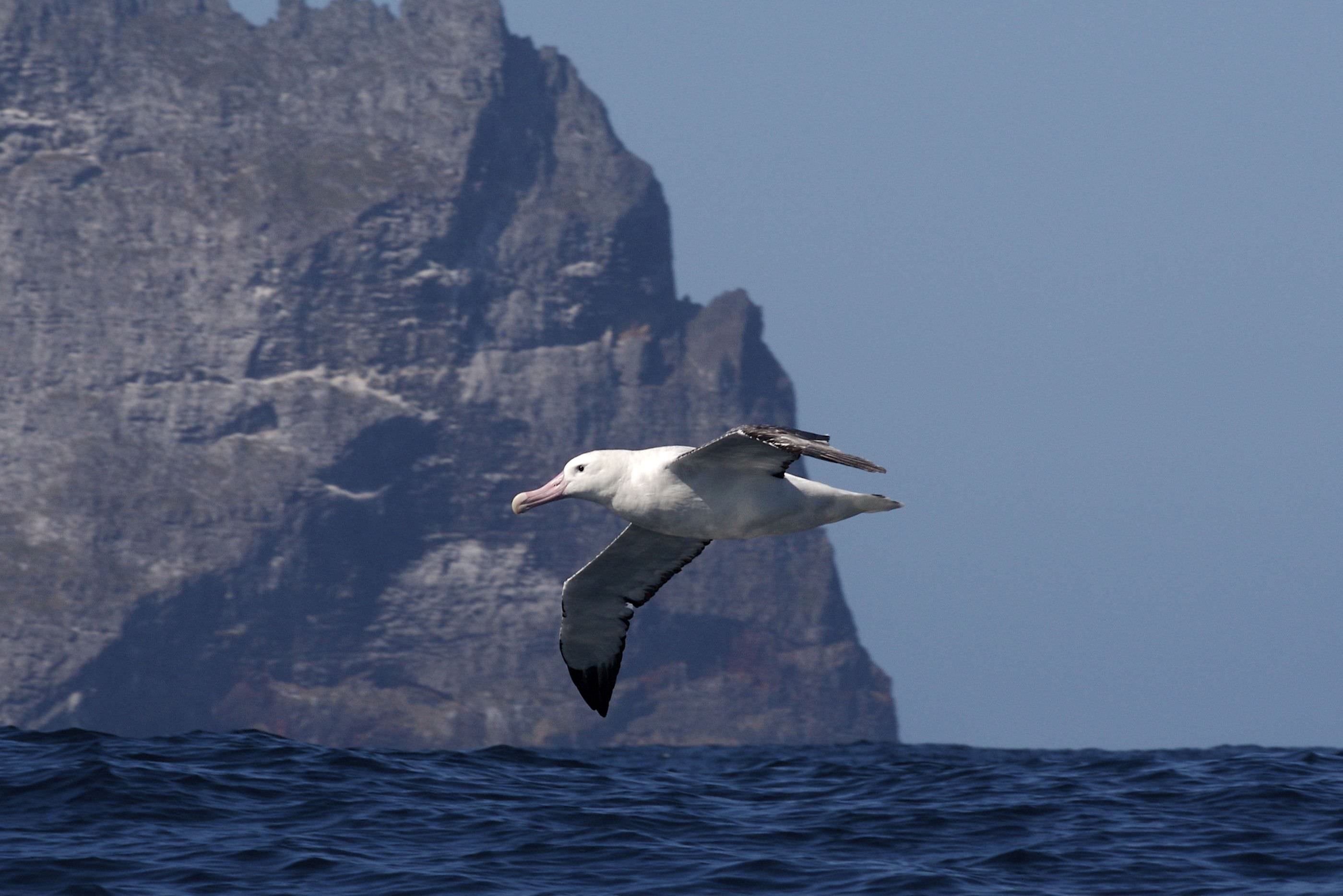 Natürlicher Lebensraum vieler Tierarten