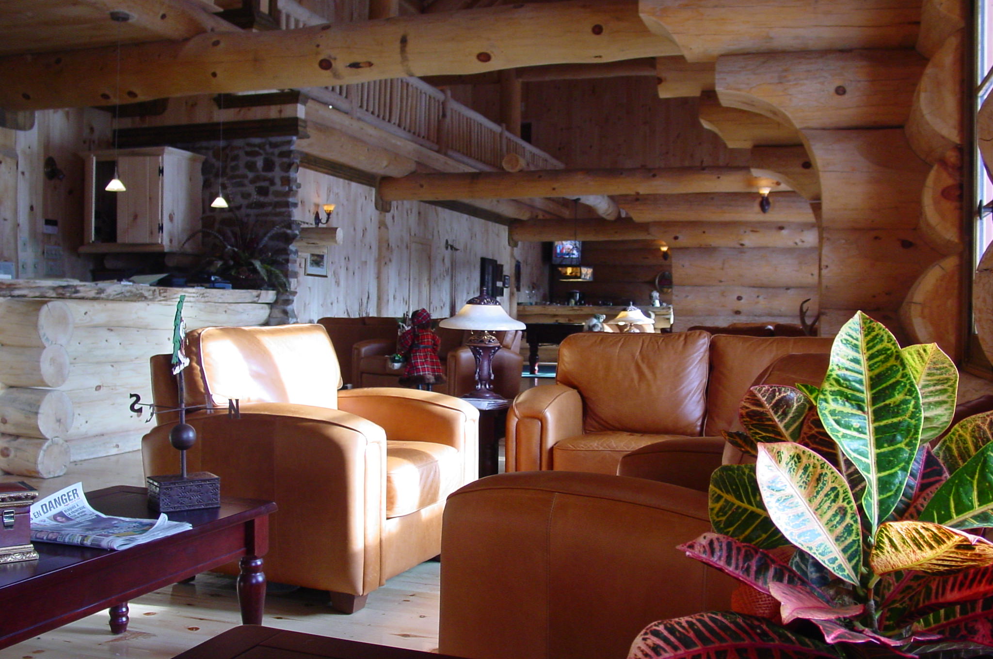 Relaxen Sie nach einem Ausflug in die Wildnis in der gemütlichen Lounge