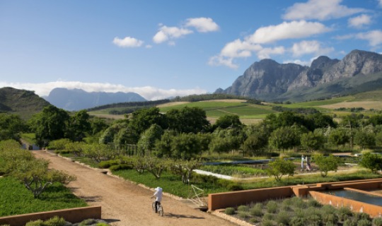 Herzlich Willkommen im Babylonstoren