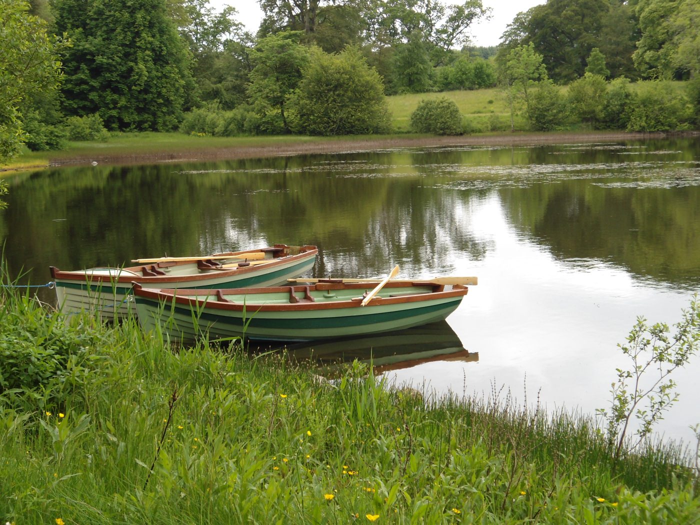 Erkunden Sie die Natur 