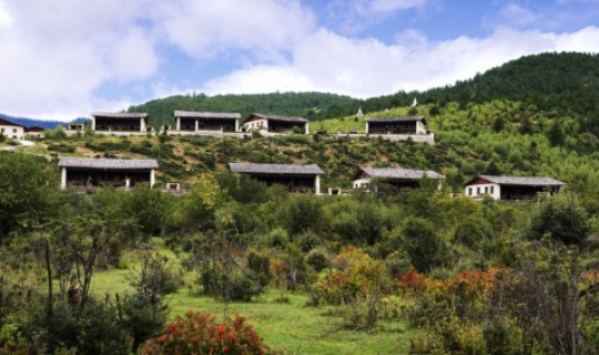 Herzlich Willkommen im Banyan Tree Ringha