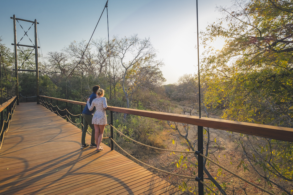 Beobachten Sie die Wildnis von der einzigartigen Hängebrücke