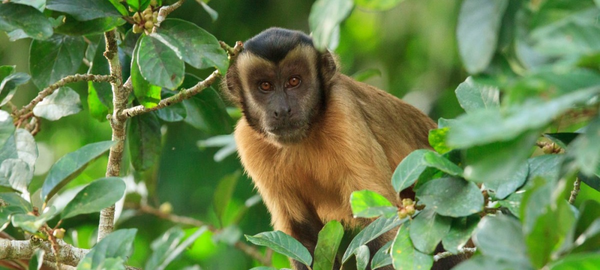 Vielfältige Tierwelt 