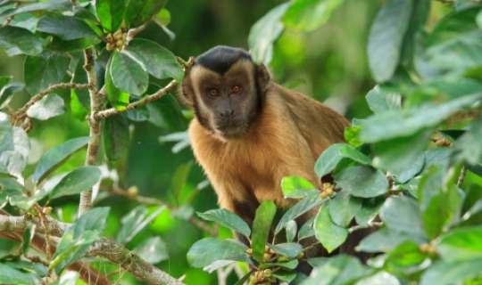 Vielfältige Tierwelt 