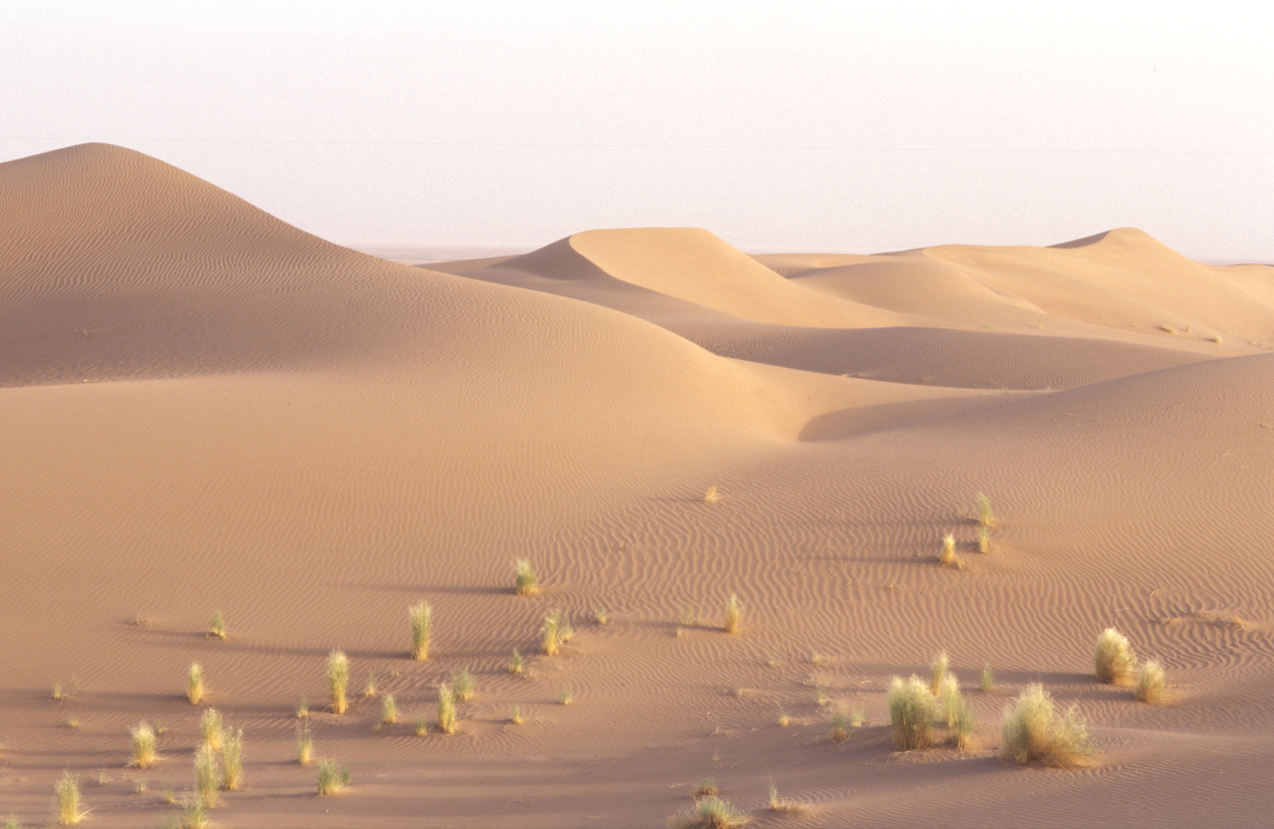 Lassen Sie sich von der unendlich erscheinenden Wüste den Atem rauben