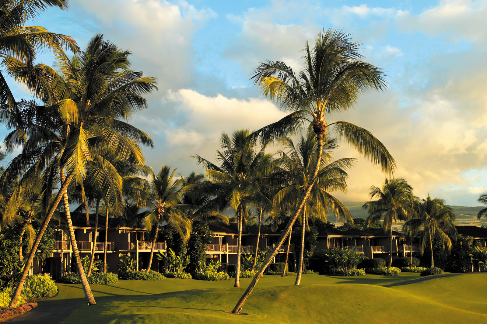 Inmitten grüner Natur