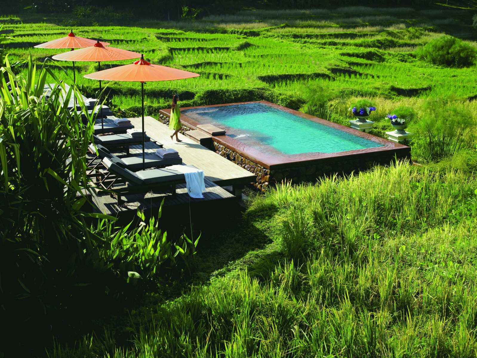 Abkühlung im erfrischenden Nass