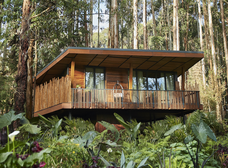 Das One & Only Gorilla's Nest heißt Sie herzlich willkommen