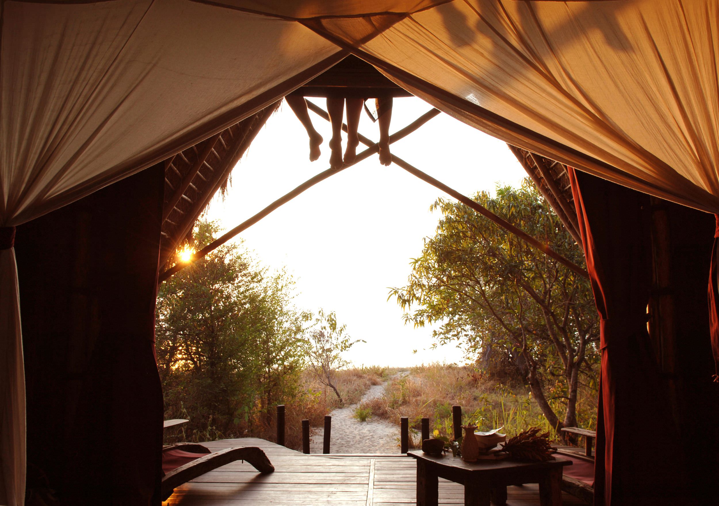 Streicheleinheiten für die Seele