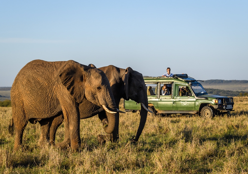 Entdecken Sie auf Safari die Wildnis Ostafrikas