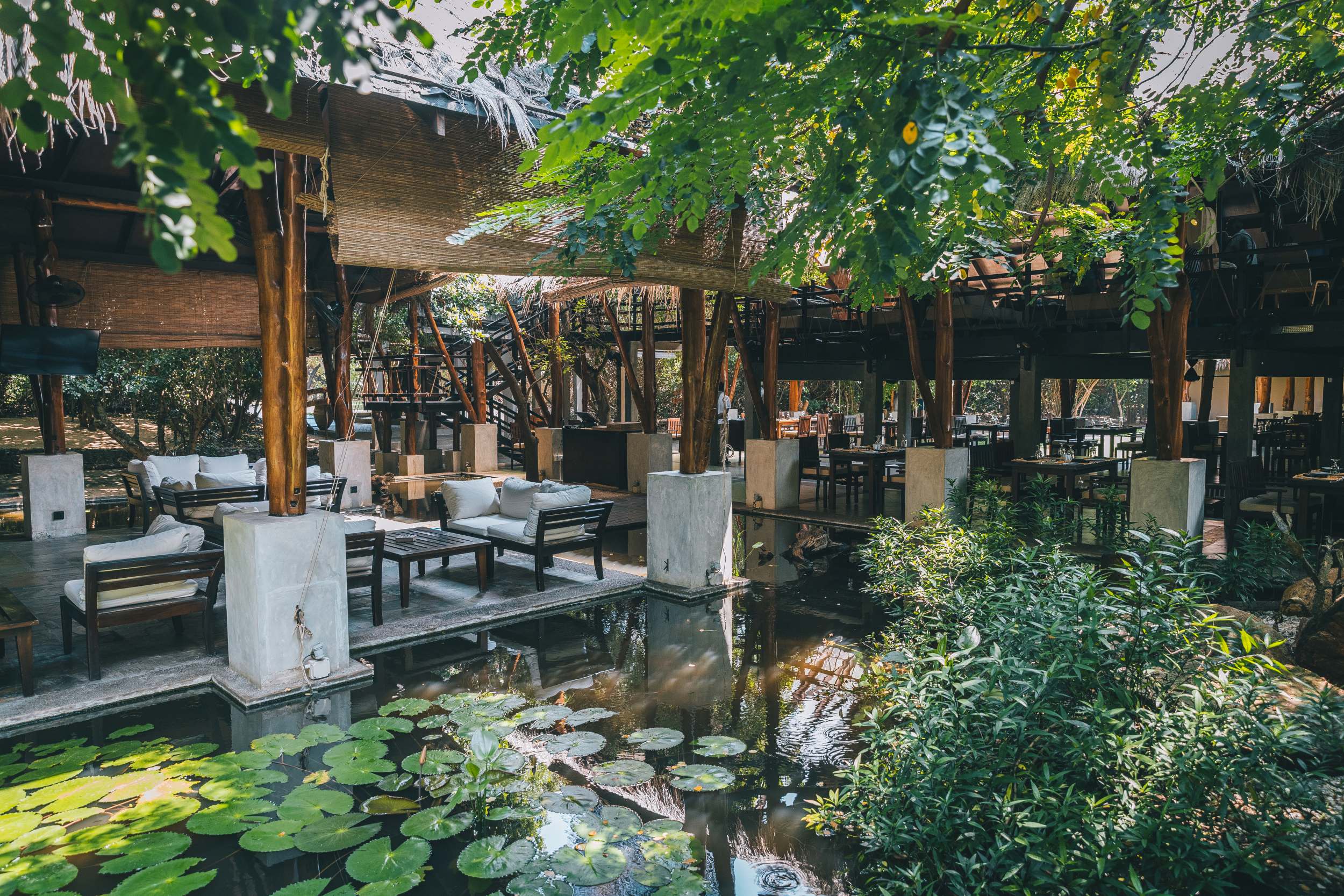 Probieren Sie köstliche Fusionsküche