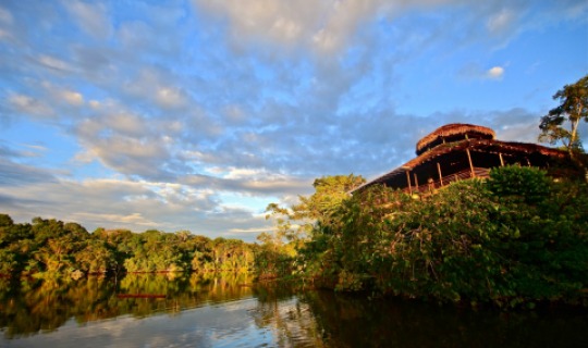 Herzlich Willkommen in der La Selva Jungle Lodge 