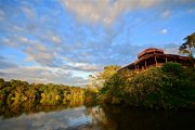 Herzlich Willkommen in der La Selva Jungle Lodge 