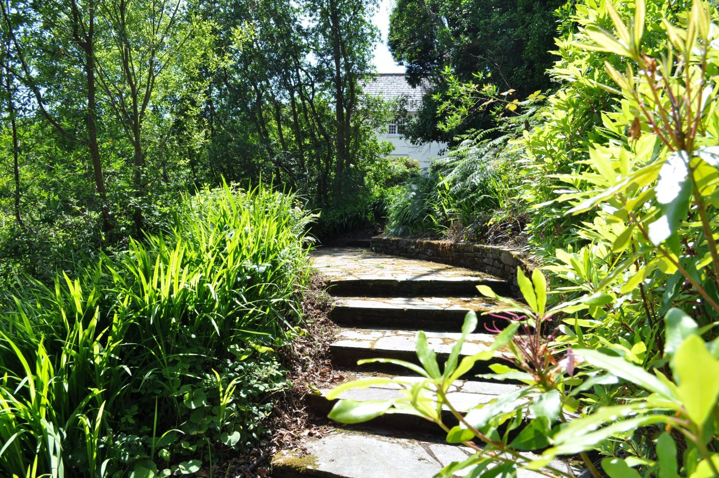 Erforschen Sie die Landschaft 