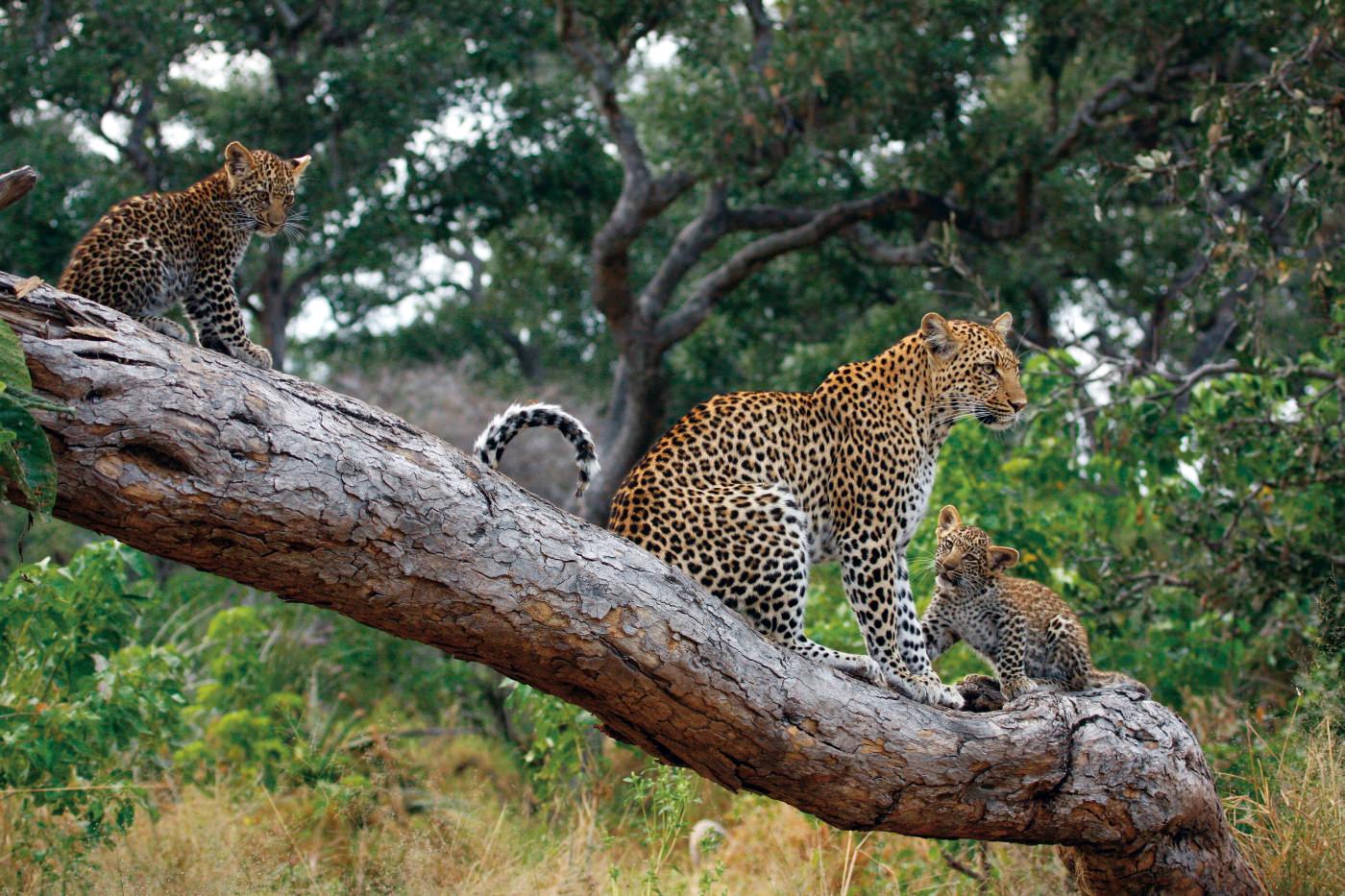 Unvergessliche Augenblicke