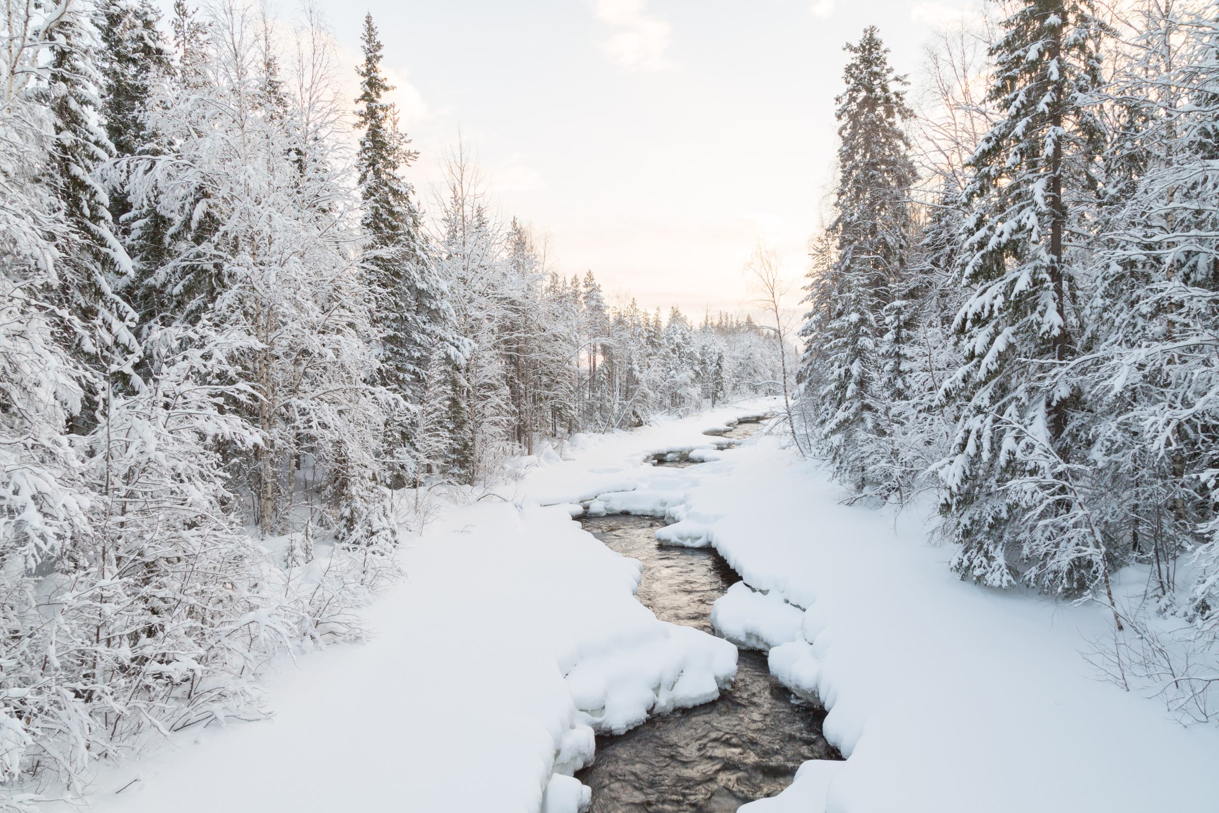 Herrliche Winterlandschaft im schwedischen Lappland