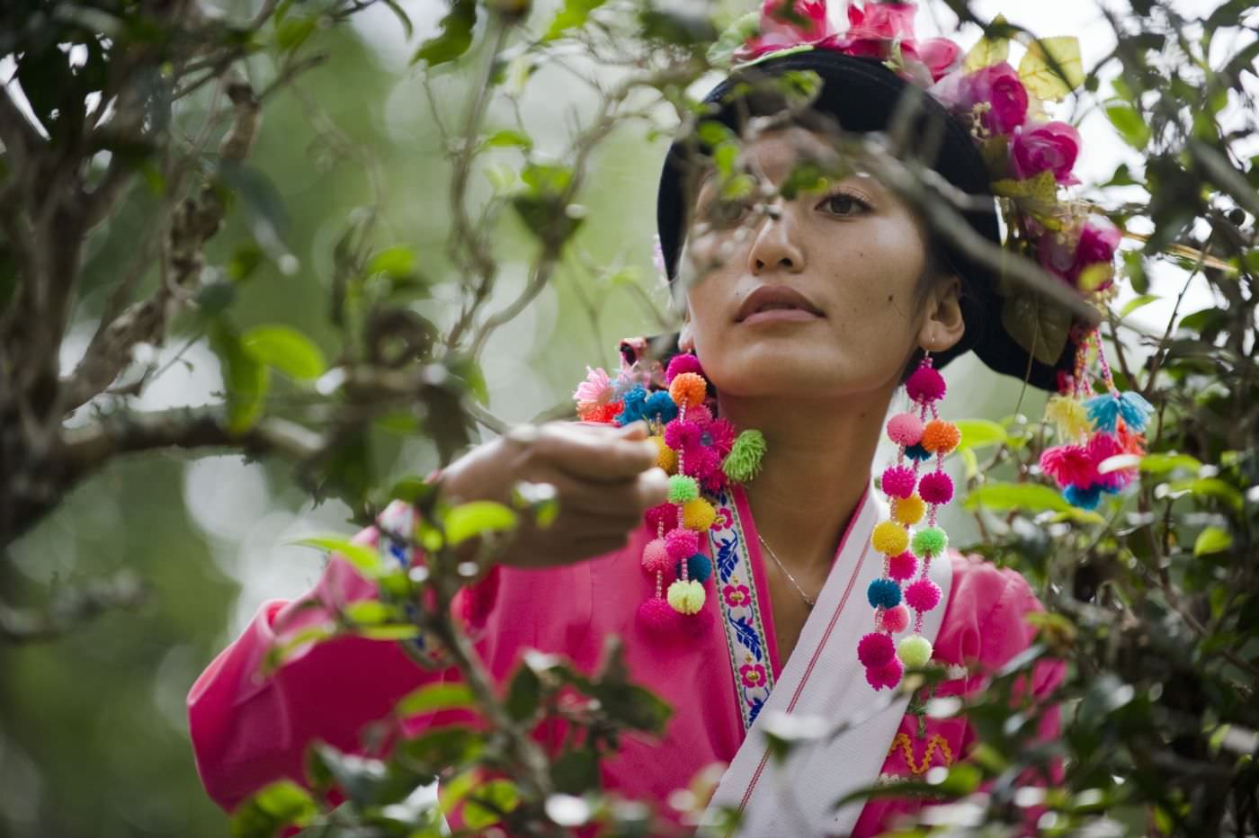Farbenprächtige Tracht der Teepflückerinnen