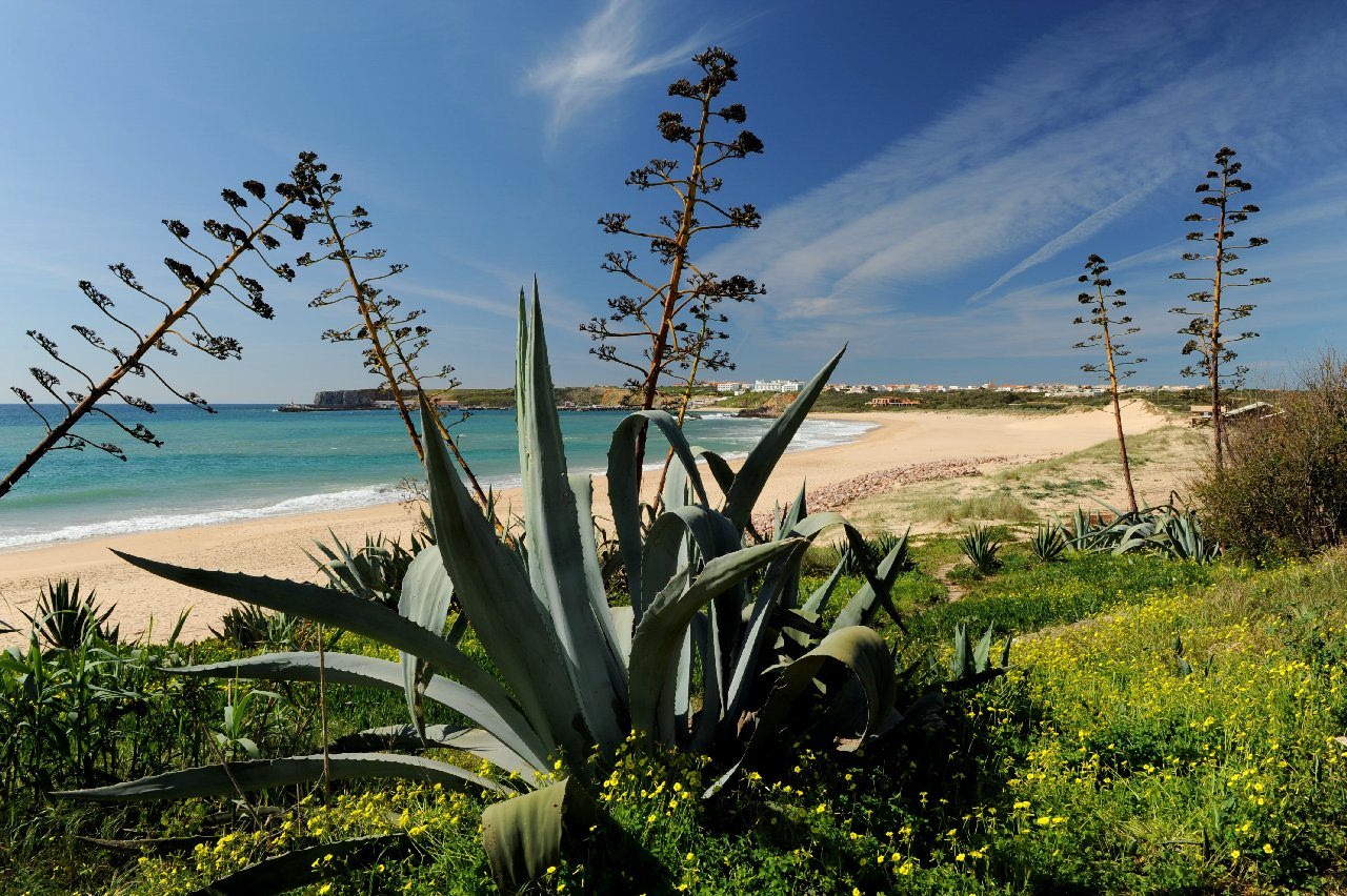 Herzlich Willkommen im Martinhal Beach Resort