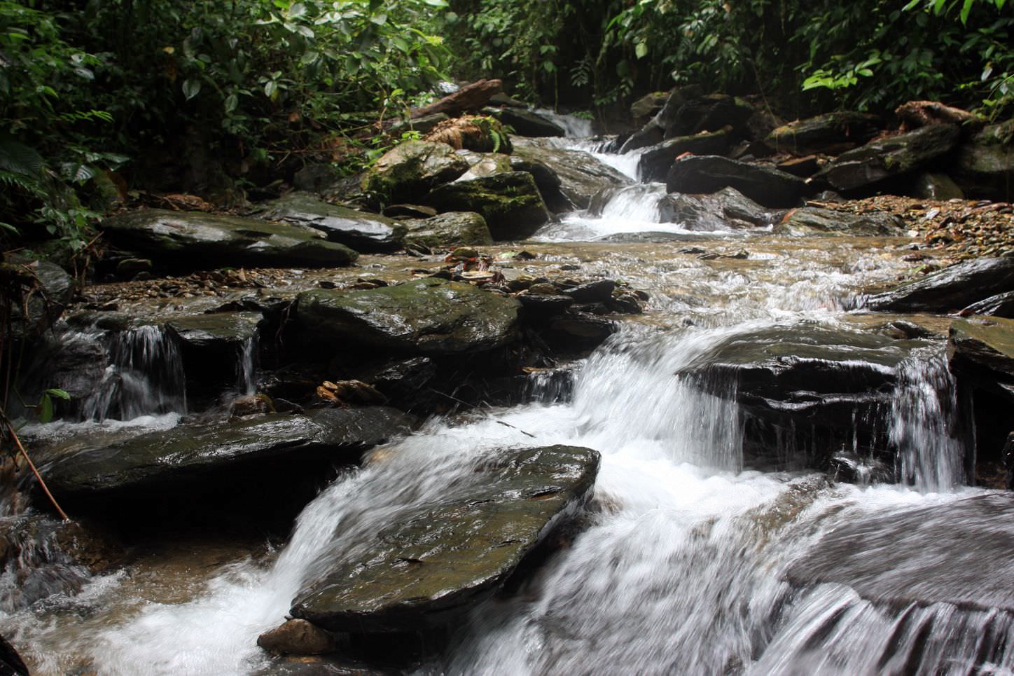 Lassen Sie die Natur auf sich wirken