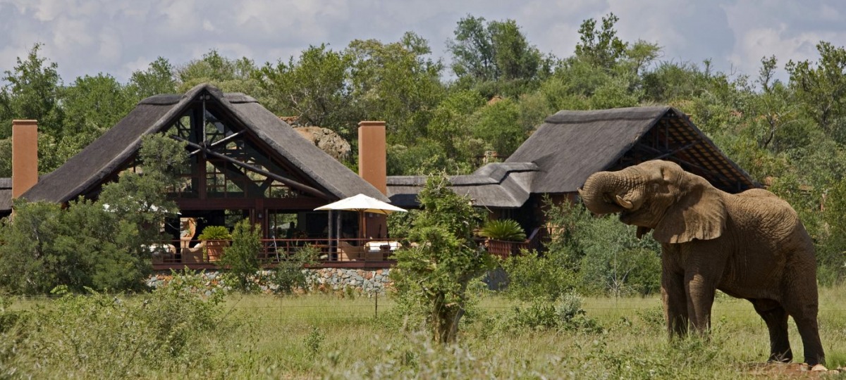 Herzlich Willkommen in der Mateya Safari Lodge