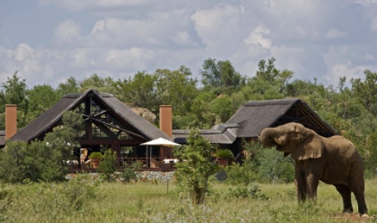 Herzlich Willkommen in der Mateya Safari Lodge