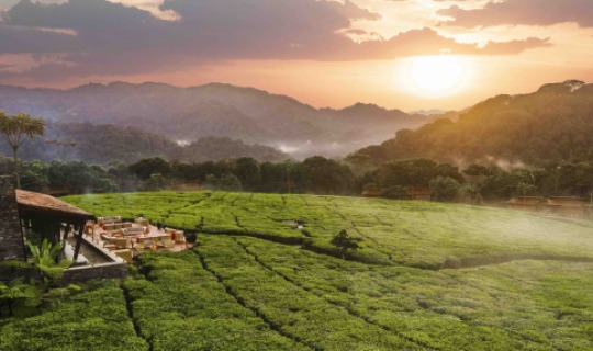 Das One & Only Nyungwe House lädt Sie ein zu einem Once in a Lifetime Erlebnis