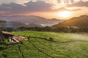 Das One & Only Nyungwe House lädt Sie ein zu einem Once in a Lifetime Erlebnis