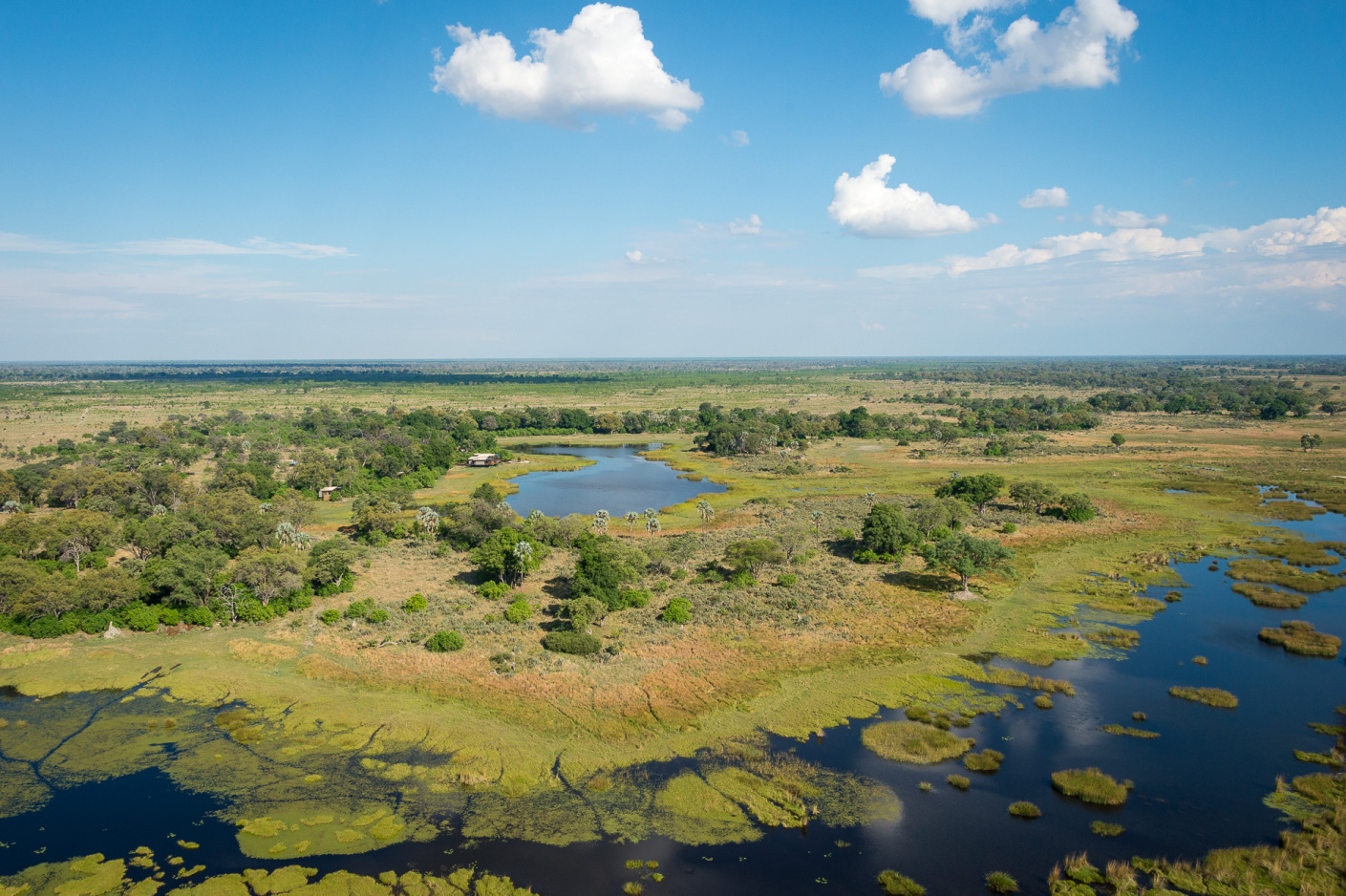Das wunderschöne Okavango Delta