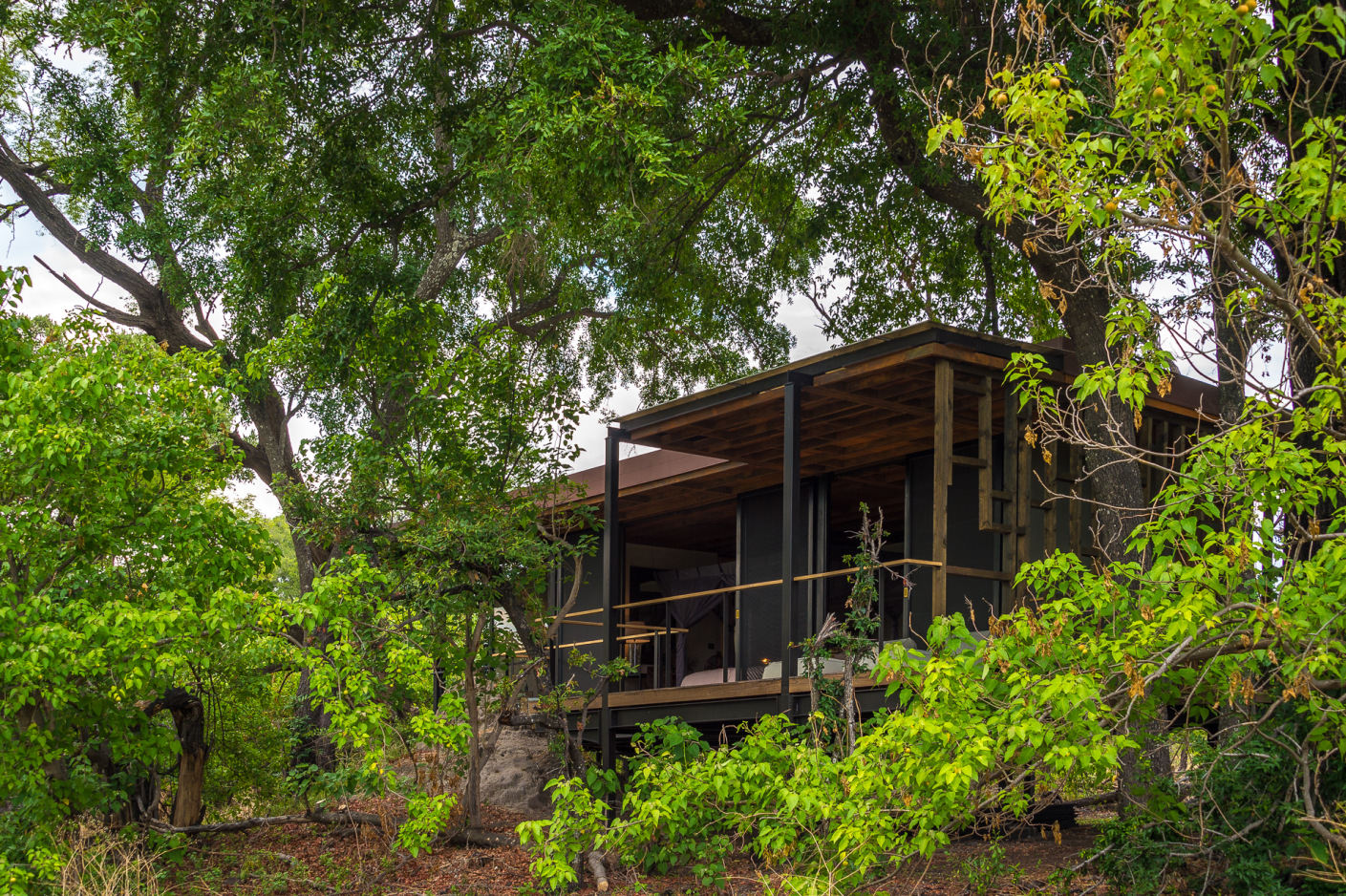 Umgeben von der Natur