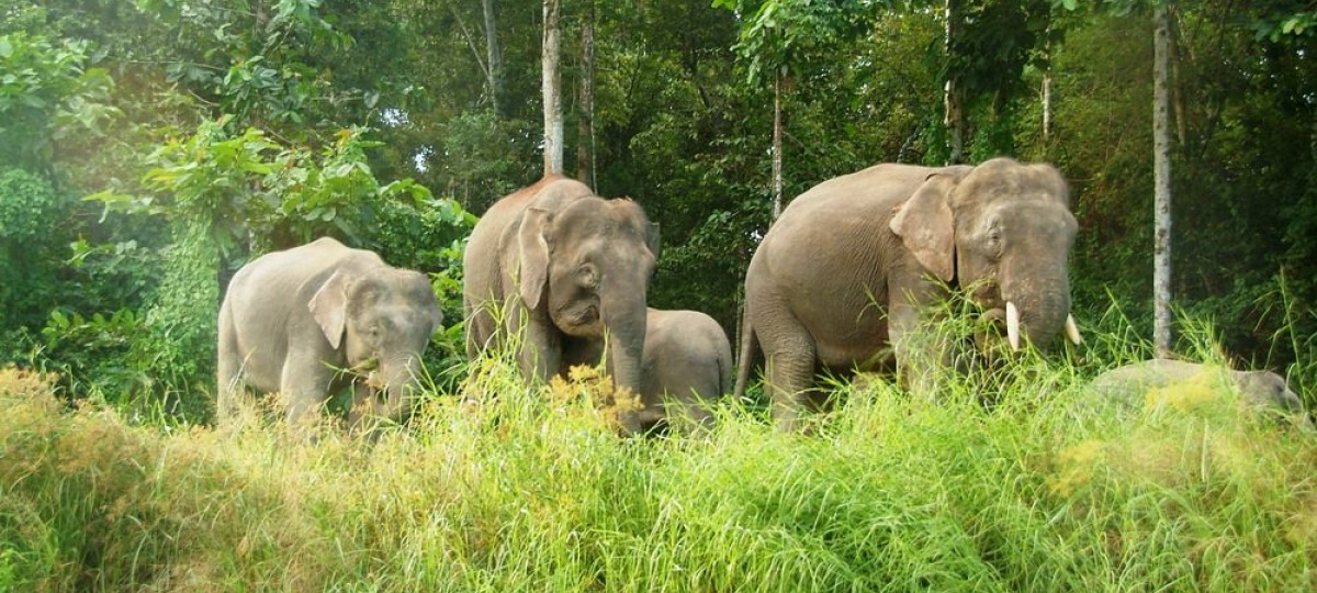 Herzlich Willkommen in der Rainforest Lodge 