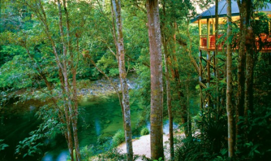 Herzlich Willkommen in der Silky Oaks Lodge Herzlich Willkommen in der Silky Oaks Lodge