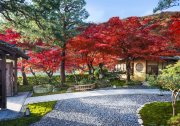 Herbstliche Farben auf dem Weg zum Cafe Hassui