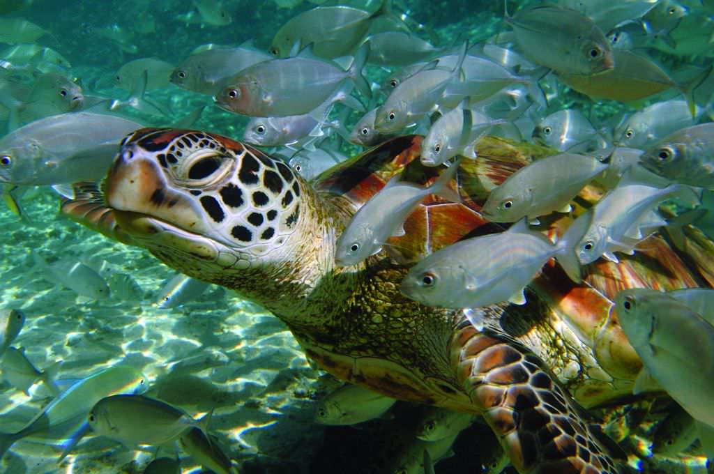 Interessante Begegnungen