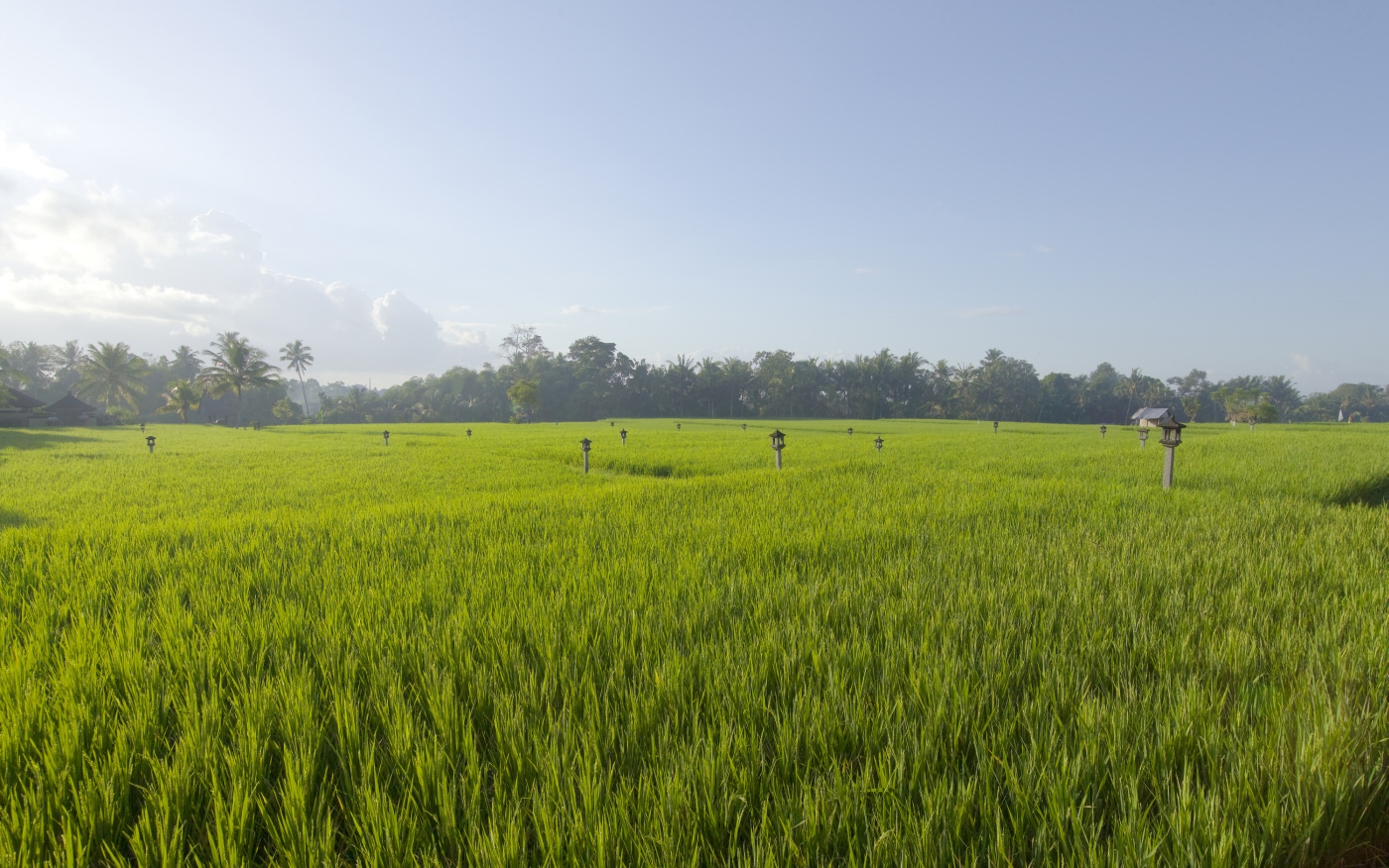 Lage inmitten traumhafter Reisterrassen