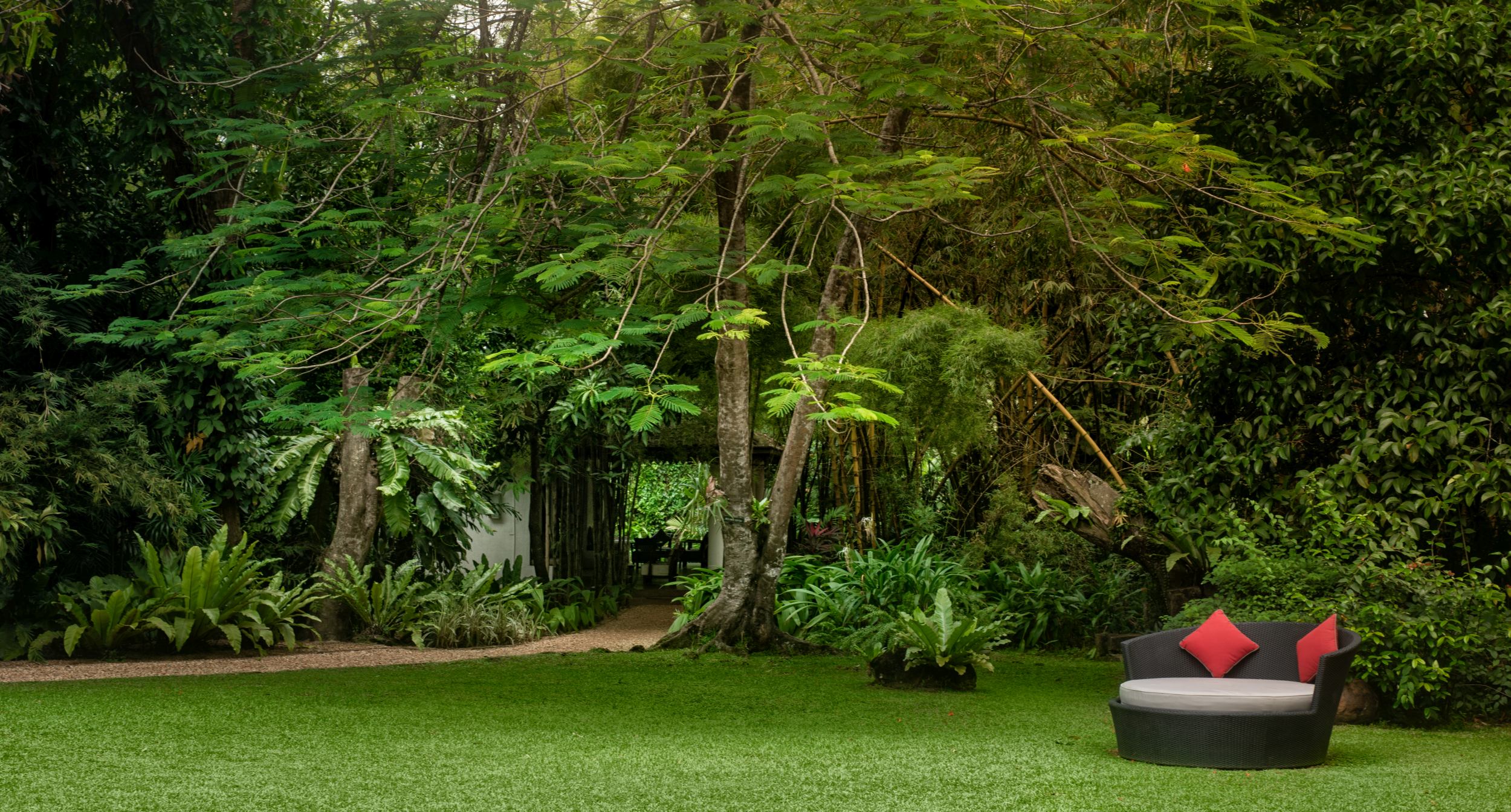 Dschungel Ambiente im Garten