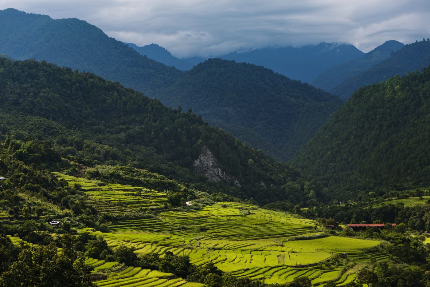 Die unglaublichen Reisterrassen direkt neben Ihrem Hotel 