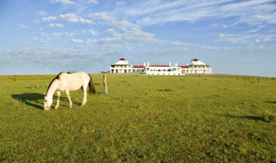 Herzlich Willkommen im Estancia Vik