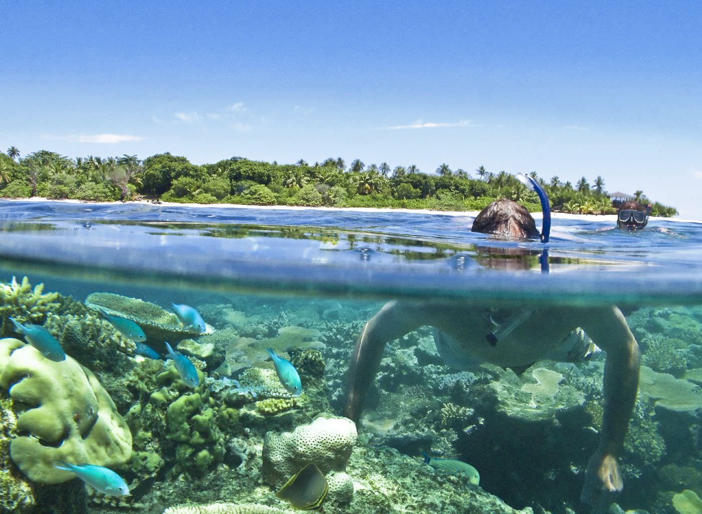 Eine faszinierende Unterwasserwelt wartet