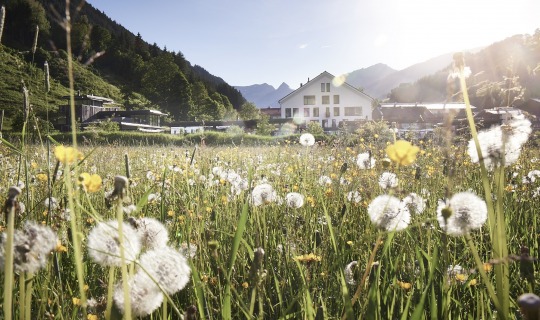 Der wunderschöne Wieserhof im Sommer