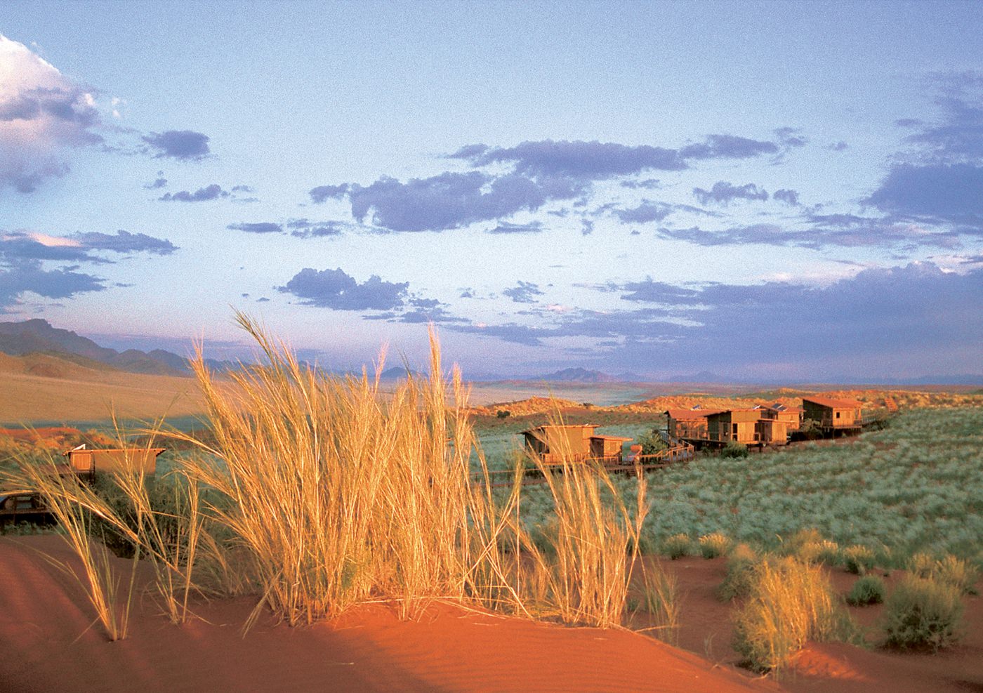 Entdecken Sie die freie Wildnis